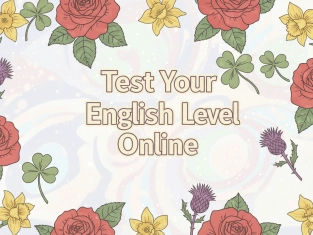 Illustration of Test Your English Level Online