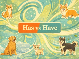 Illustration of Has vs Have