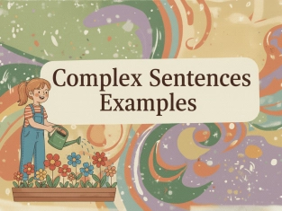 Illustration of Complex Sentences Examples