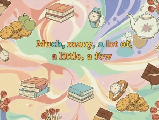 Illustration of Much, many, a lot of, a little, a few